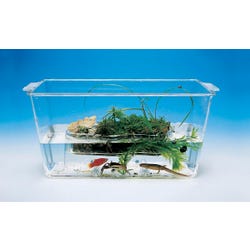 Ecology, Environment, Item Number 090-1262