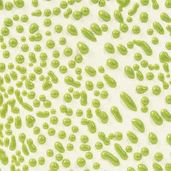 Image for AMACO Crawls Glaze, Pint, CR-41 Lime from School Specialty