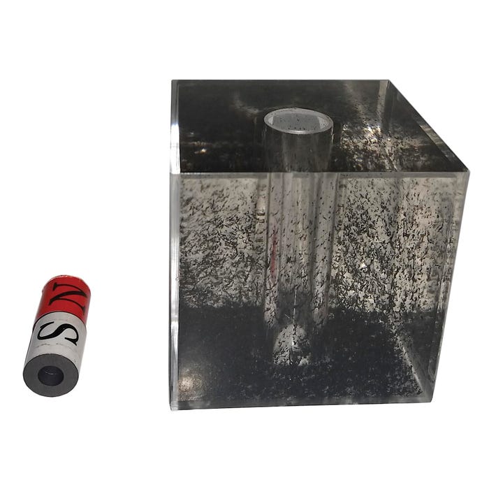 American Scientific Acrylic Cube with Magnet and Iron Filings in Center