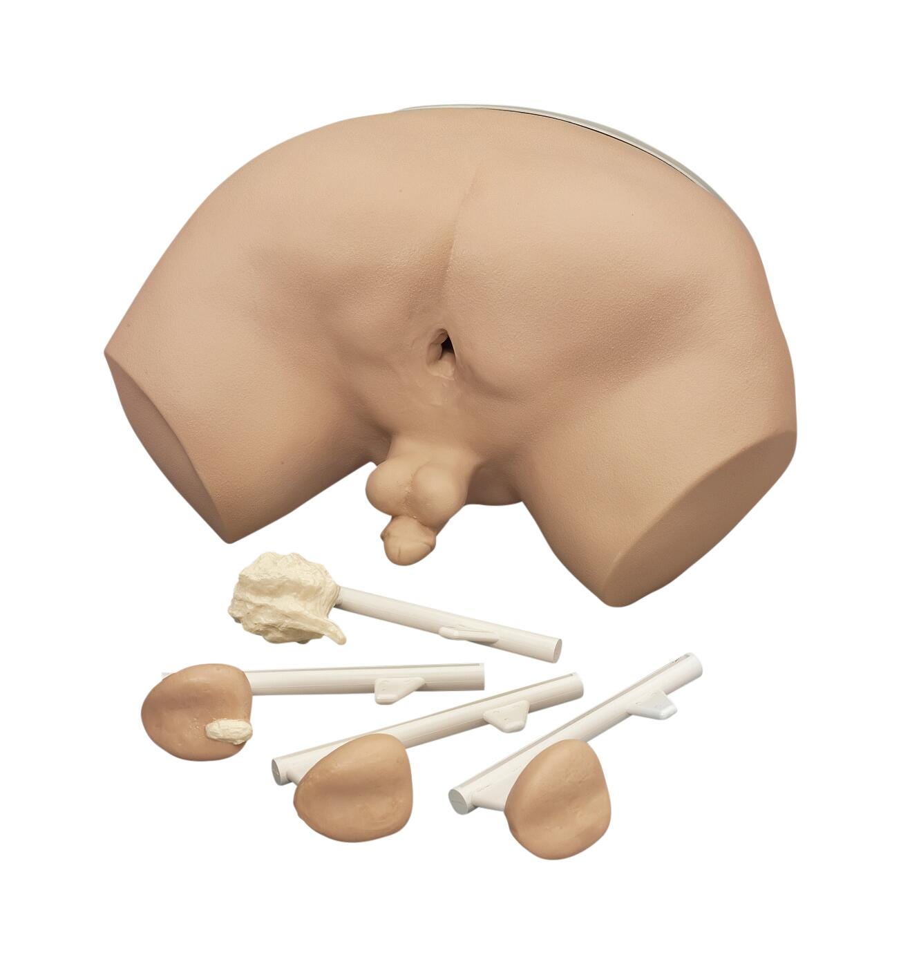 Life/form Prostate Examination Simulator