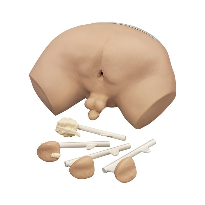 Life/form Prostate Examination Simulator