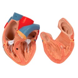 ANGLEIMAGES_FULLIMAGE