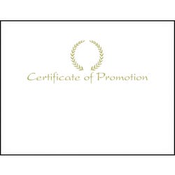 Achieve It! Certificate of Promotion Embossed Award, 11 x 8-1/2 inches, Gold Foil, Pack of 25 2104380