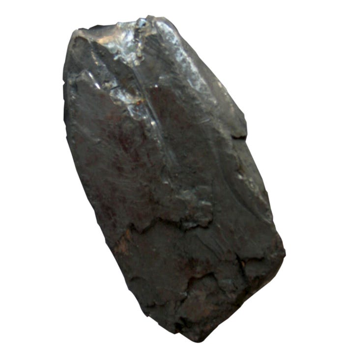 Scott Resources Anthracite Coal, Hand Sample