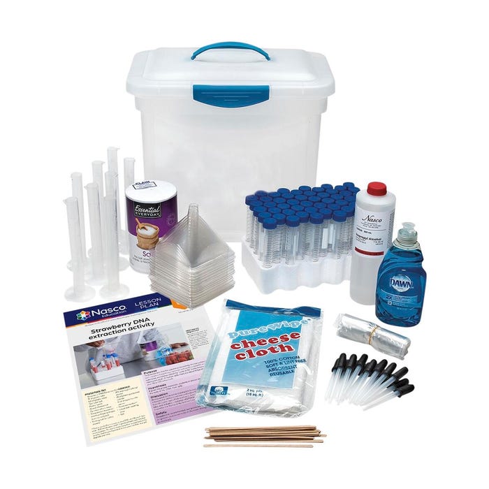 Nasco Strawberry DNA Extraction Kit, Grades 6 to 12