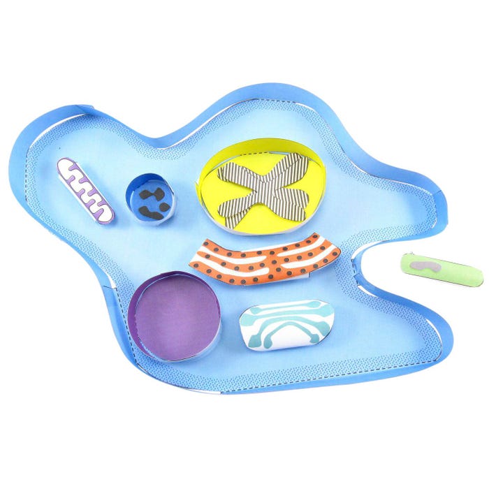 NewPath Learning Amoeba 3-D Model Making Kit