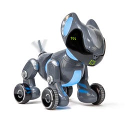 ANGLEIMAGES_FULLIMAGE