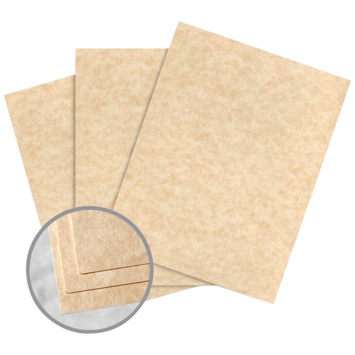 Astroparche Premium Card Stock, 8-1/2 x 11 Inches, 65 lb, Aged, Case of 8 Reams