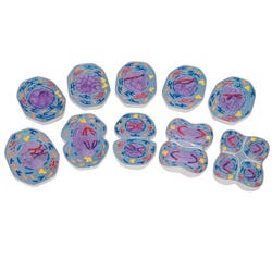 ANGLEIMAGES_FULLIMAGE