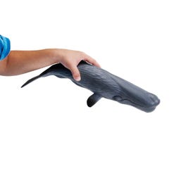 ANGLEIMAGES_FULLIMAGE