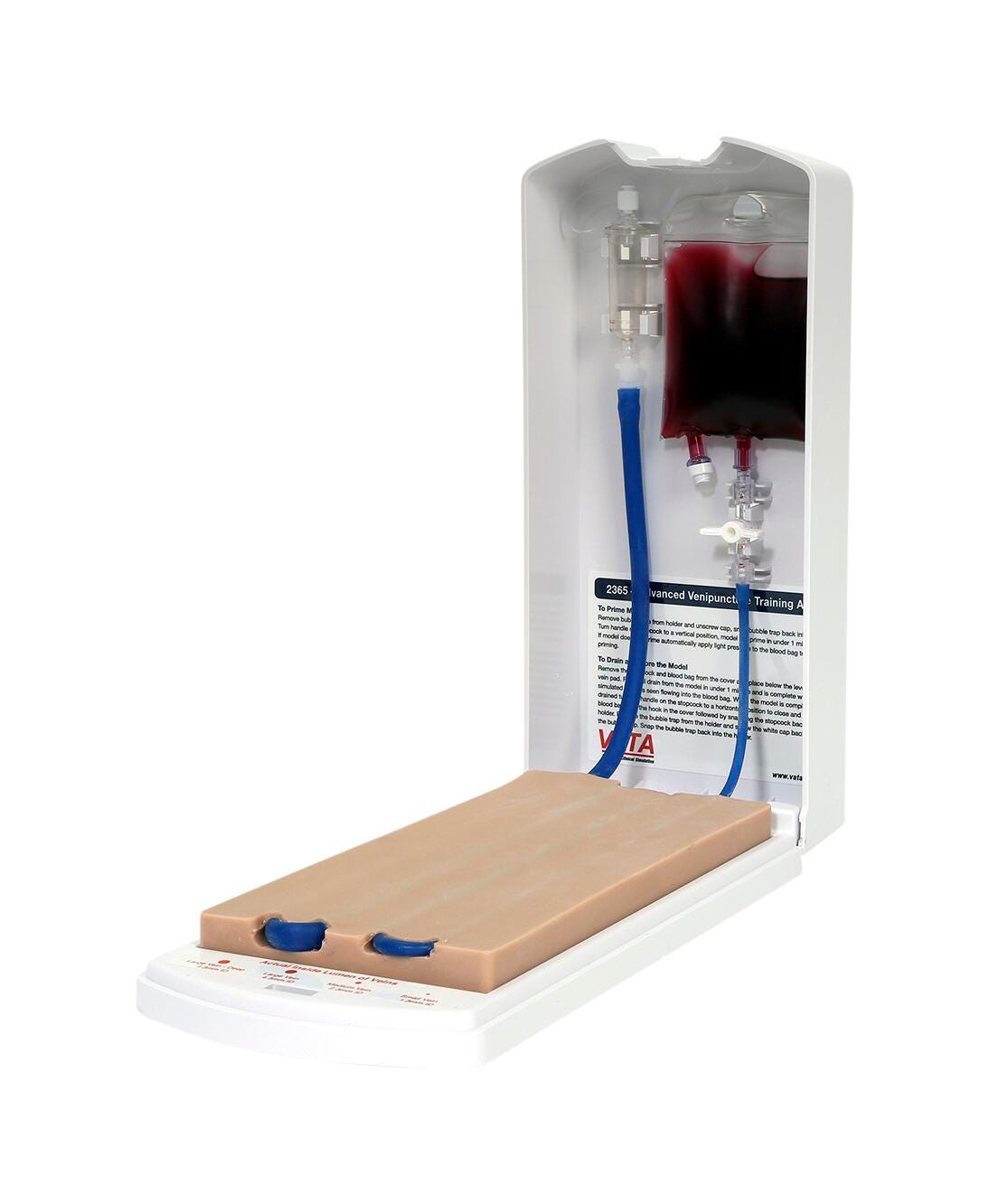 Image for Advanced Four-Vein Venipuncture Training Aid from School Specialty