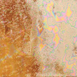 AMACO® Cosmos Glaze, Solar Flare, Pint