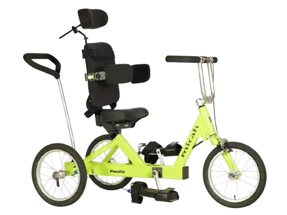 Micah Flagship Deluxe Tricycle 2150835