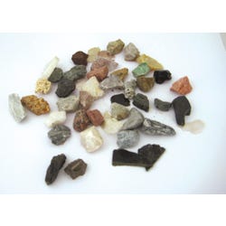 Scott Resources Washington School Student Collection, Rocks and Minerals, Set of 40, Item Number 563897
