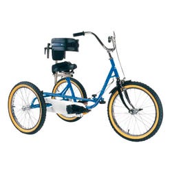 TMX Trike 2124881