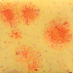 Sax Crystal Magic Glaze, Citrus Splash, 1 Pint 409367