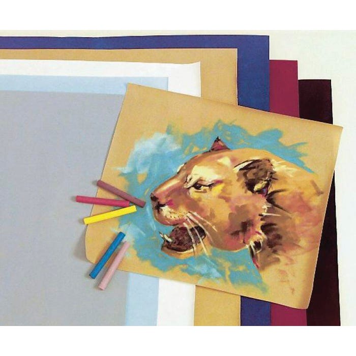 Hygloss Velour Paper, 20 x 27 Inches, Assorted Colors, 24 Sheets