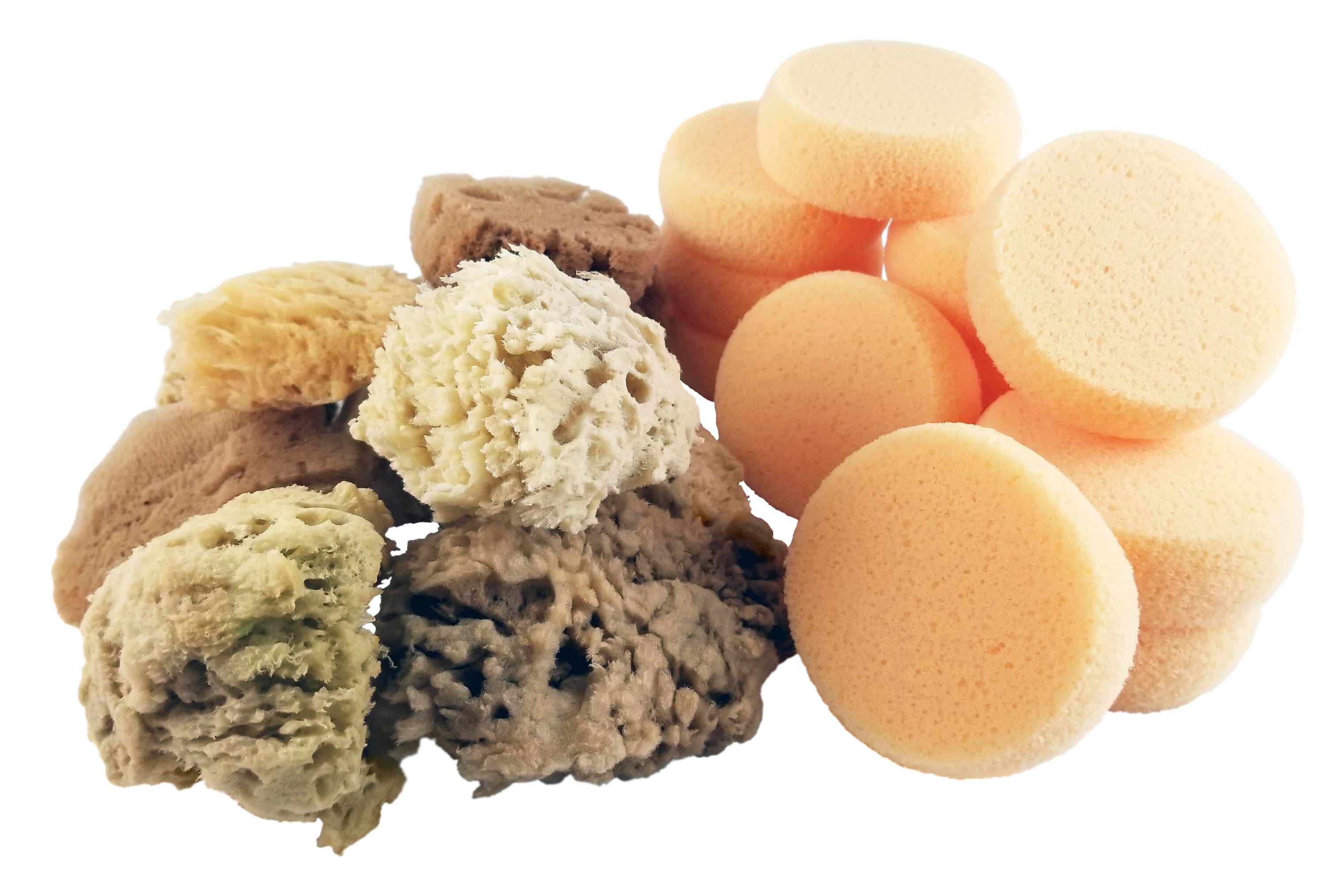 Paint Sponges, Item Number 406619