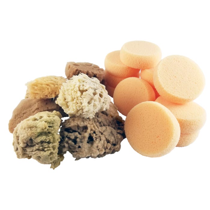 Royal & Langnickel Wool Sea Sponge Assortment, Assorted Sizes, Set of 36