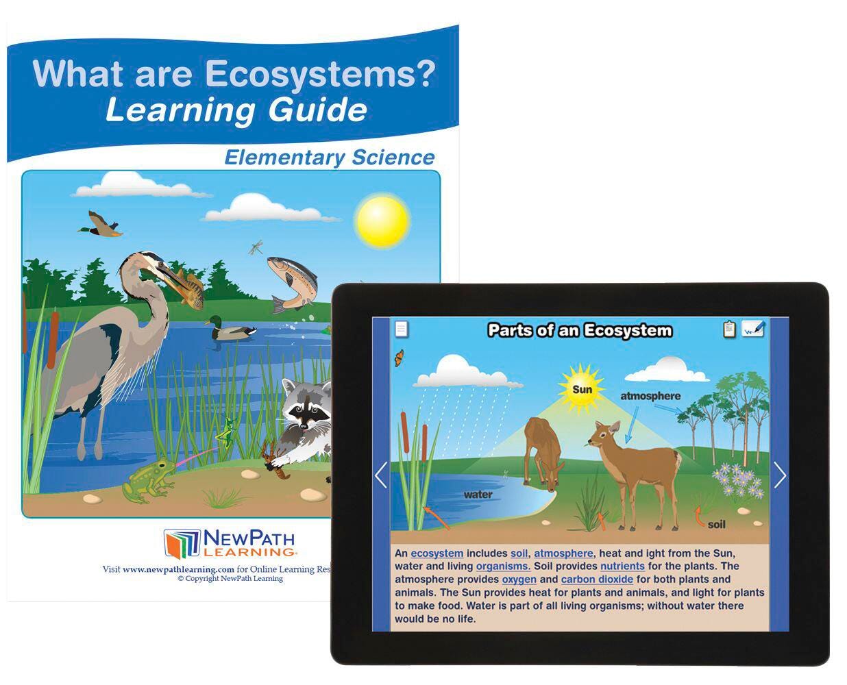 NewPath Learning What are Ecosystems? Student Learning with Online Lesson 2087518