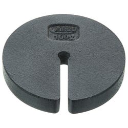 Eisco Labs Slotted Mass, Spare, Zinc Casted, 100 Gram 2023045