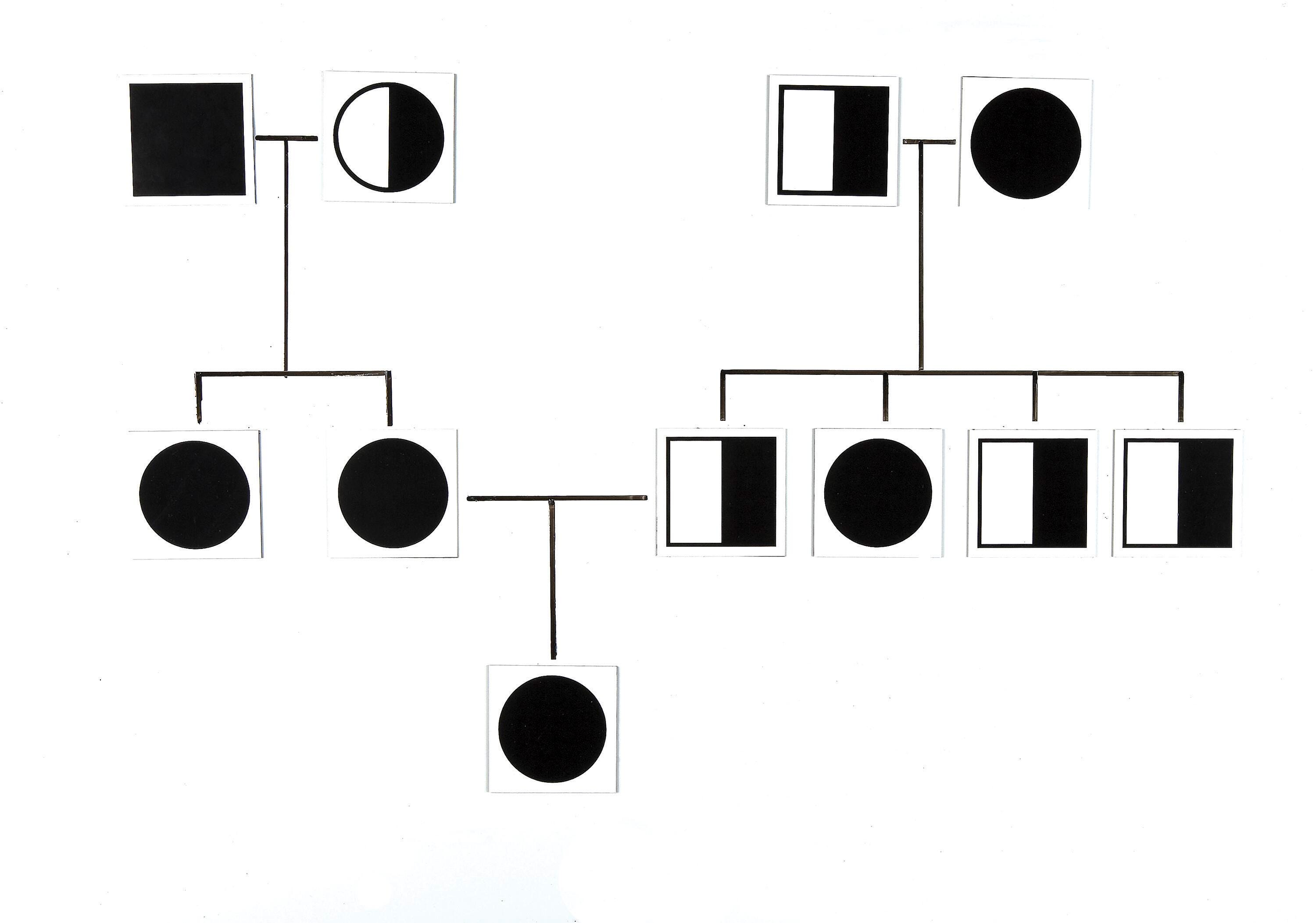 Science Genetic Studies, Item Number 1399008