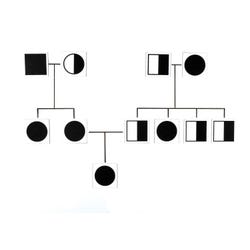 Science Genetic Studies, Item Number 1399008