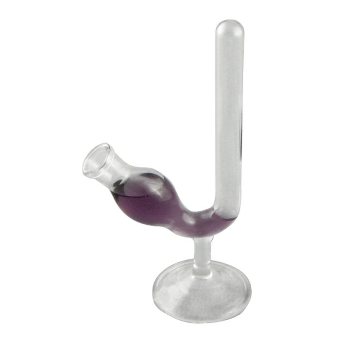 Ginsberg Scientific Footed Bulb Fermentation Tube, 12 mm Dia x 100 mm Evolution Tube, Flint Glass