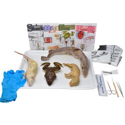 Frey Choice Dissection Kit - Animal Set with Dissection Tools, Item Number 2041248