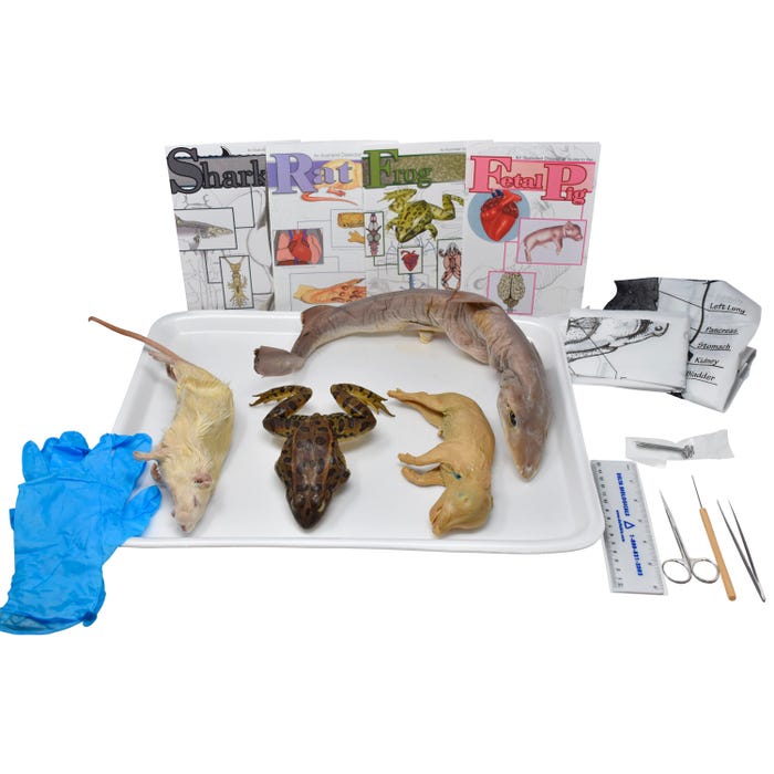 Frey Scientific Choice Vertebrae Anatomy Dissection Kit with Dissection Tools