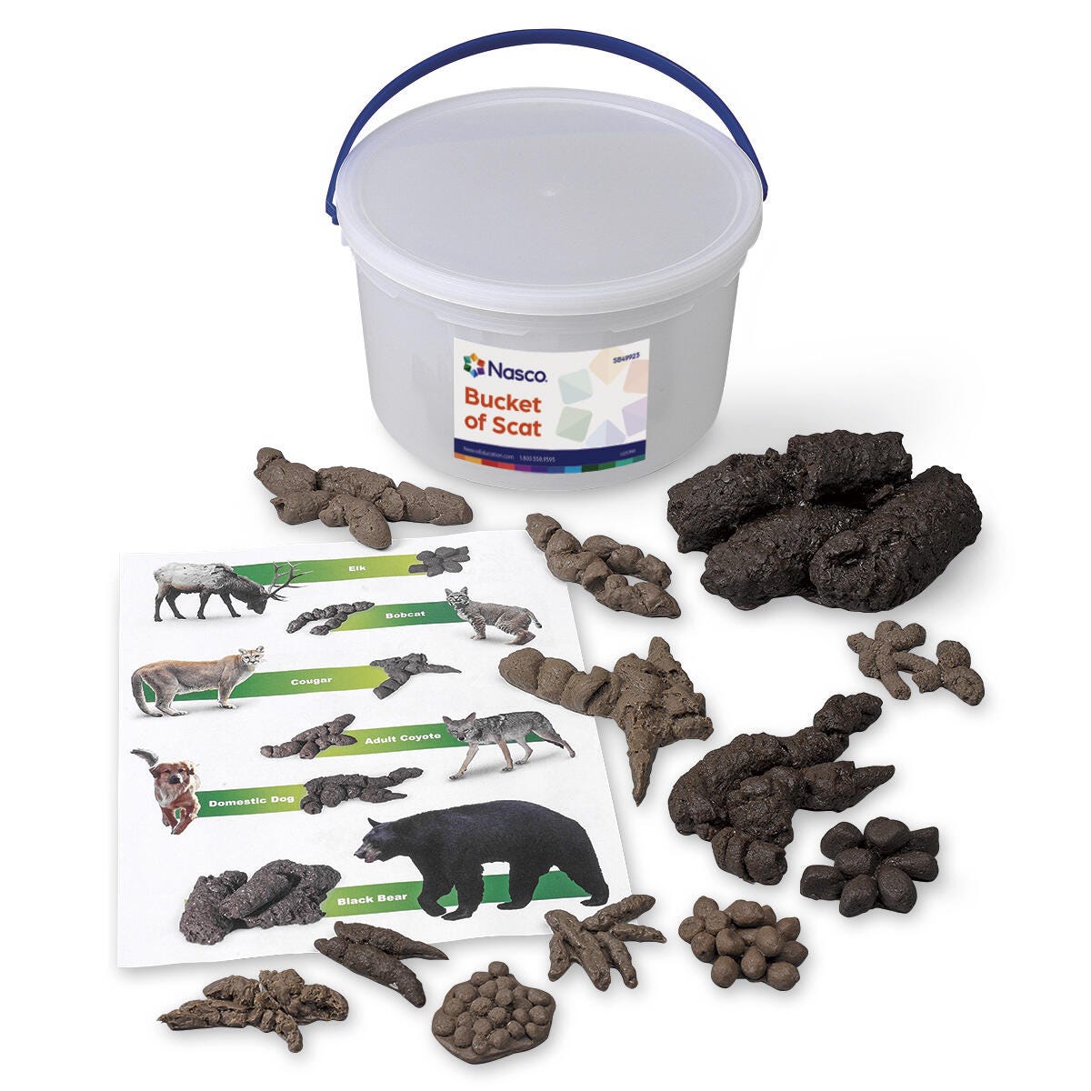 Image for Nasco Bucket of Scat from School Specialty