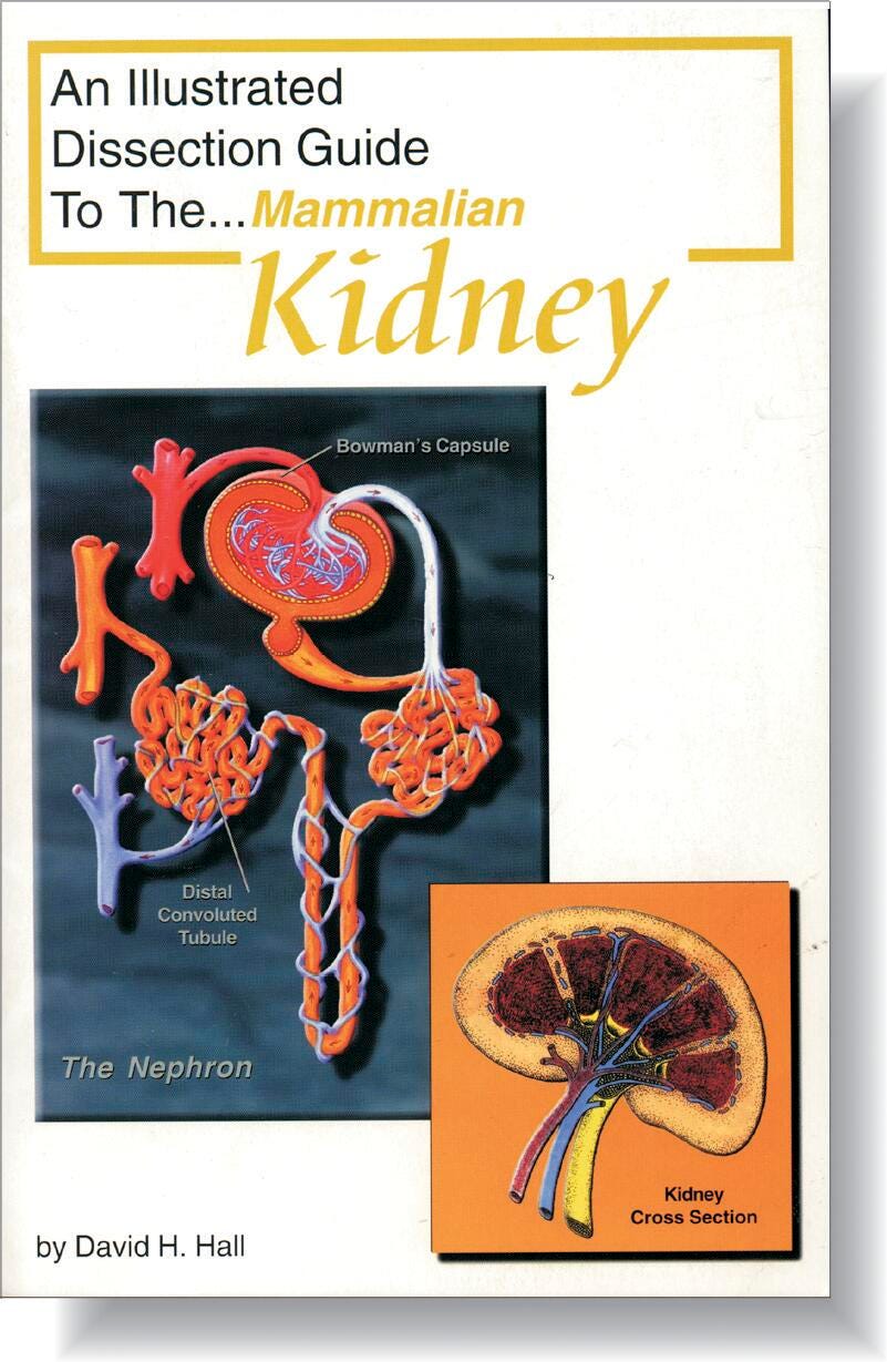 Frey Scientific Mini-Guide to Mammalian Kidney Dissection, Item Number 532270
