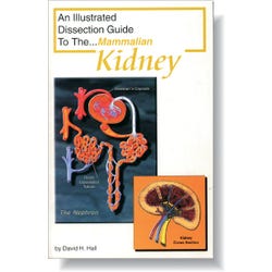 Frey Scientific Mini-Guide to Mammalian Kidney Dissection, Item Number 532270