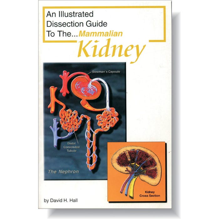 Frey Scientific Mini-Guide to Mammalian Kidney Dissection