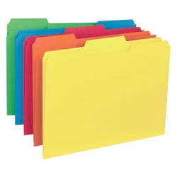 Business Source Interior File Folder, Letter Size, 1/3 Cut Tabs, Assorted Colors, Set of 100