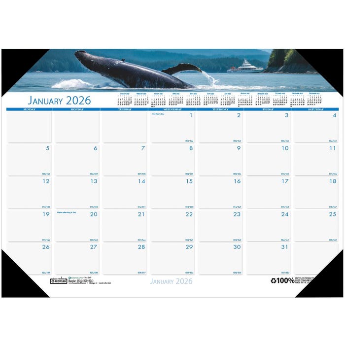 House of Doolittle 12 Month Desk Pad, January-December 2026, 18-1/2 x 13 Inches, Earthscapes Sea Life