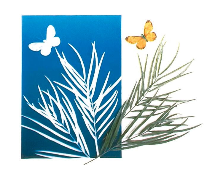 Decorative Paper, Item Number 222456