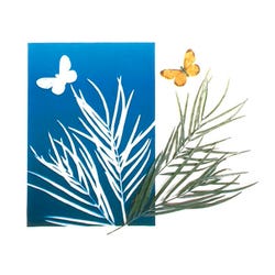 Decorative Paper, Item Number 222456