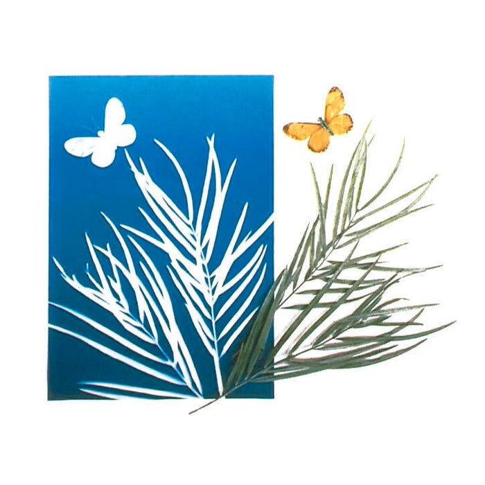 Nature Print Printing Paper, Sun Activated, 5 x 7 Inches, Pack of 30