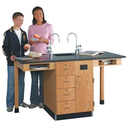 Science Workstations Supplies, Item Number 530828