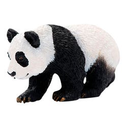 ANGLEIMAGES_FULLIMAGE