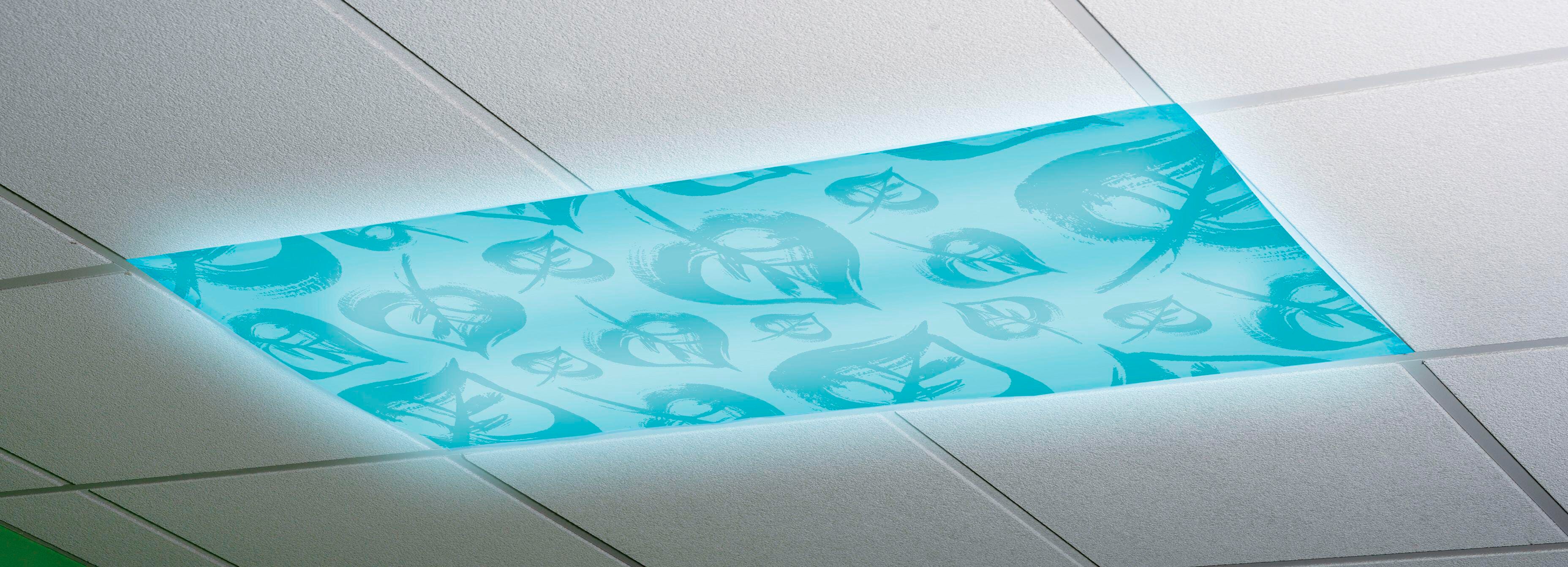 Multi-Sensory Tools , Item Number 1535870