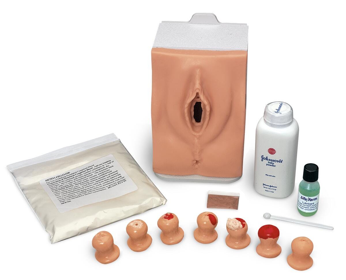 Life/form® Cervical Exam and Pap Smear Test Trainer - Light