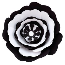 ANGLEIMAGES_FULLIMAGE