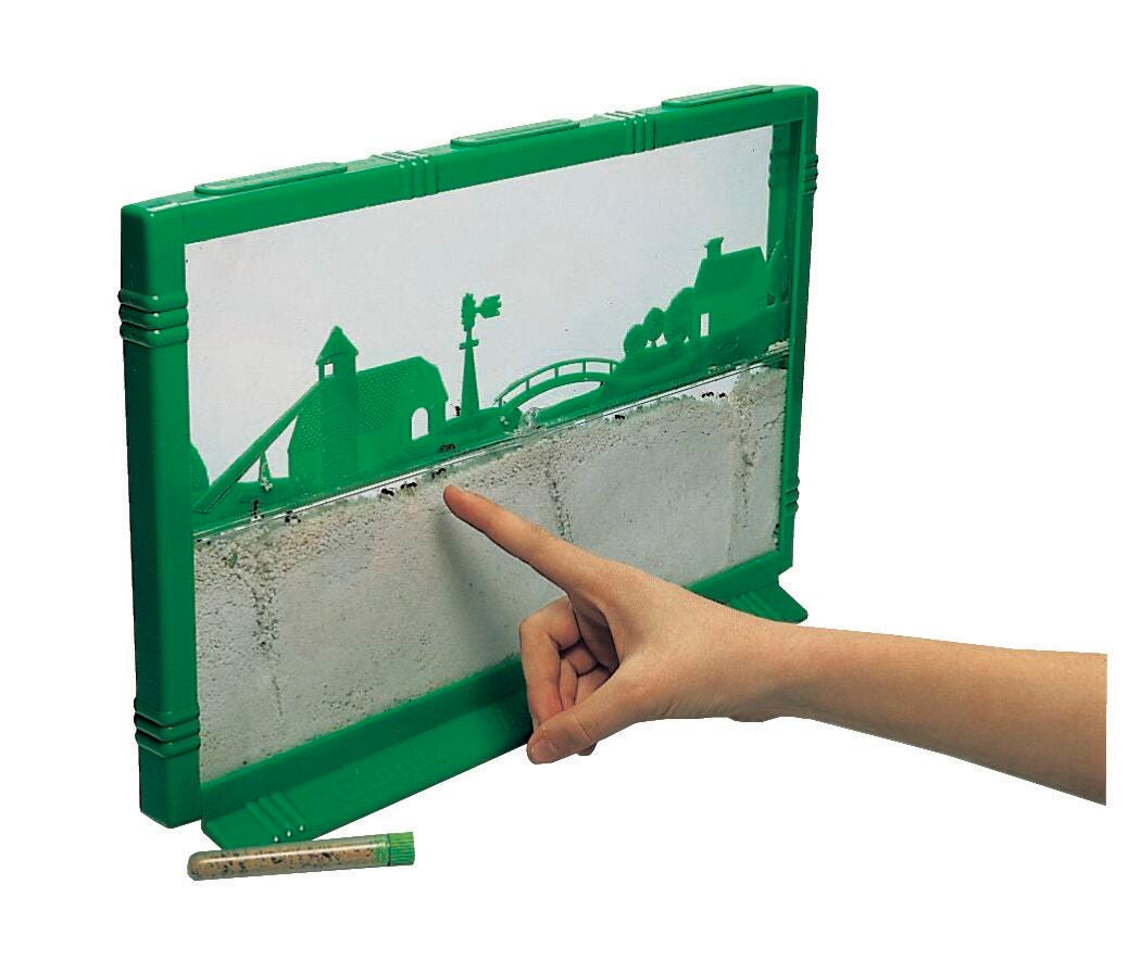 Science Animal Studies, Item Number 190-0227