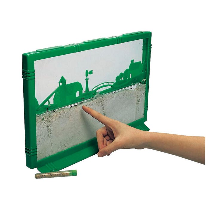 Delta Education Giant Ant Farm, 10 x 15 Inches, Grades K to 6