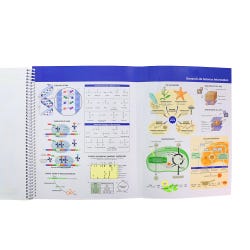 ANGLEIMAGES_FULLIMAGE