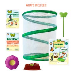 ANGLEIMAGES_FULLIMAGE