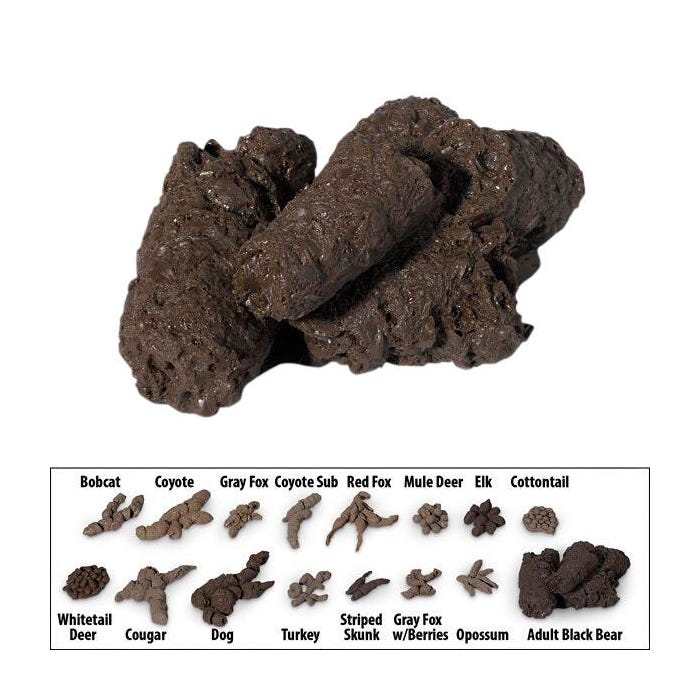 Nasco Adult Black Bear Scat Replica