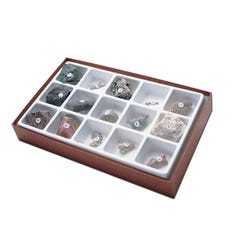 Scott Resources General Fossil Collection 563843